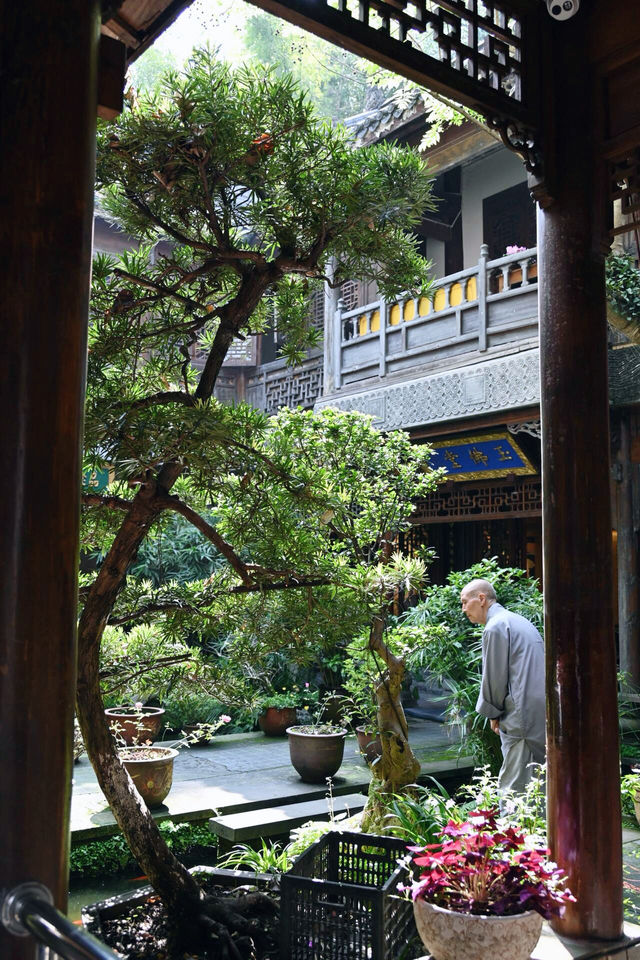 遂寧｜只見寺院不見山