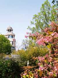 人民公園，你玩真花啊