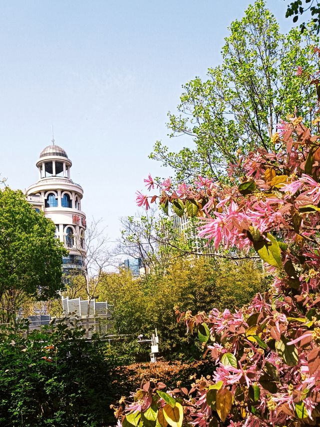 人民公園，你玩真花啊