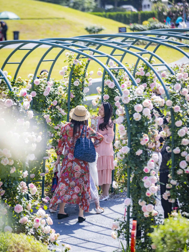 Delightful Hydrangeas and Romantic Roses🌸🌹 