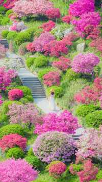 杭州周邊的莫奈花園已經美到 Next Level驚艷