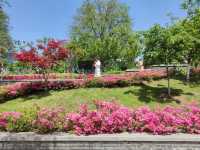 江蘇南京｜六朝皇家園林，現在城市休閒公園