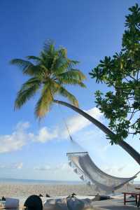 馬爾代夫，印度洋明珠，椰風樹影，水清沙白，浮潛天堂，蜜月聖地