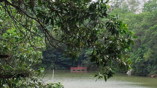 繁華都市中，人間清淨處