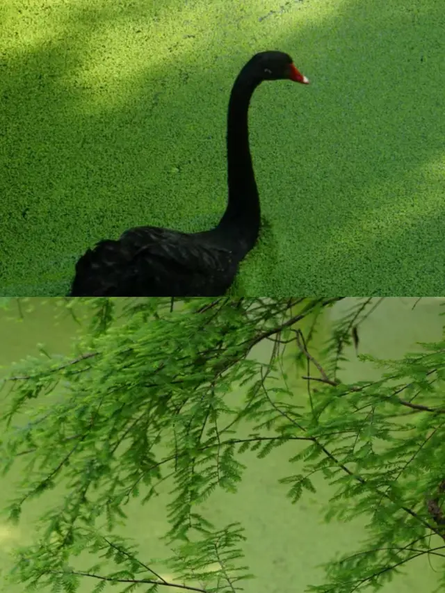 杭州