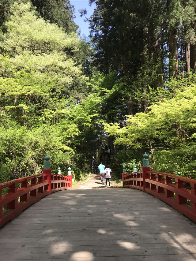 ＃日本國寶 - 羽黑山五重塔