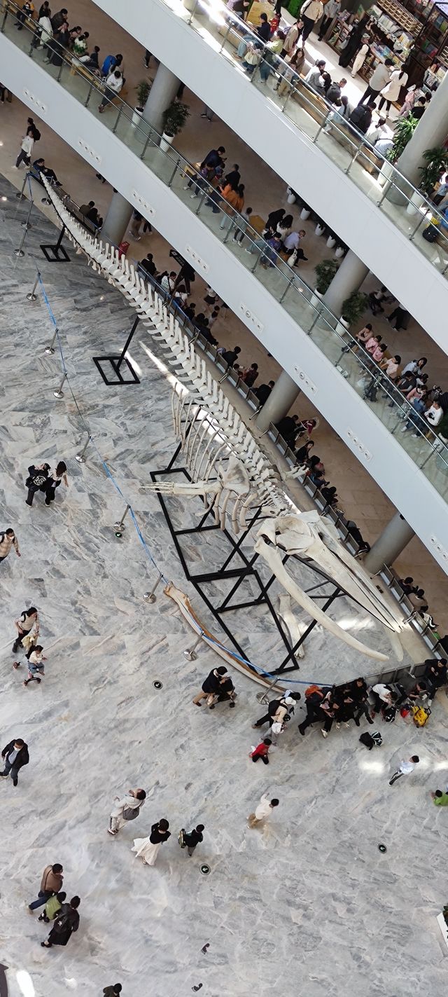 漫遊上海自然博物館 漫遊上海自然博物館