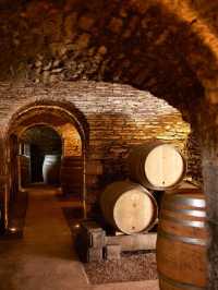 Beaune Bliss: Luxe Stays & Gourmet Days 🍷🏨✨