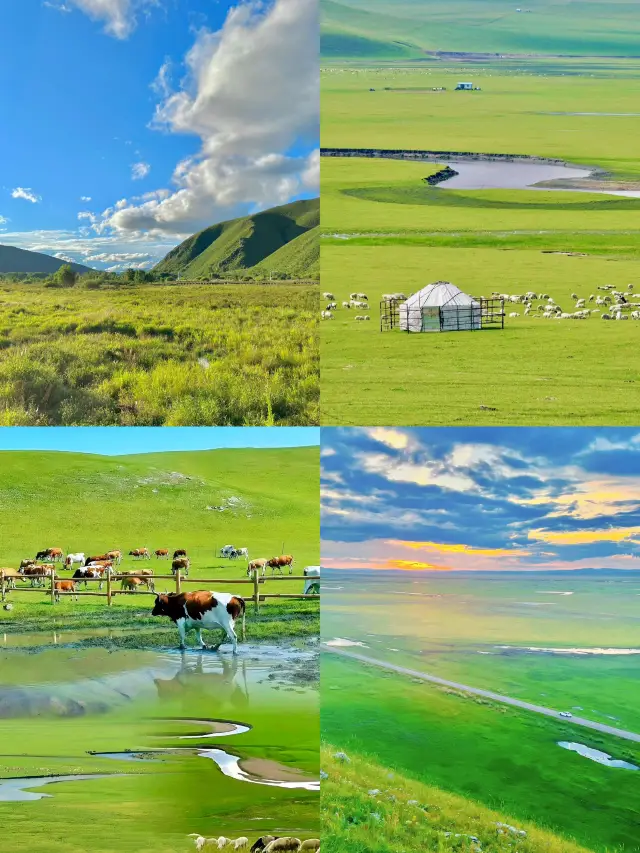 I thought the beauty of Western Sichuan was unparalleled, until I visited Hulunbuir