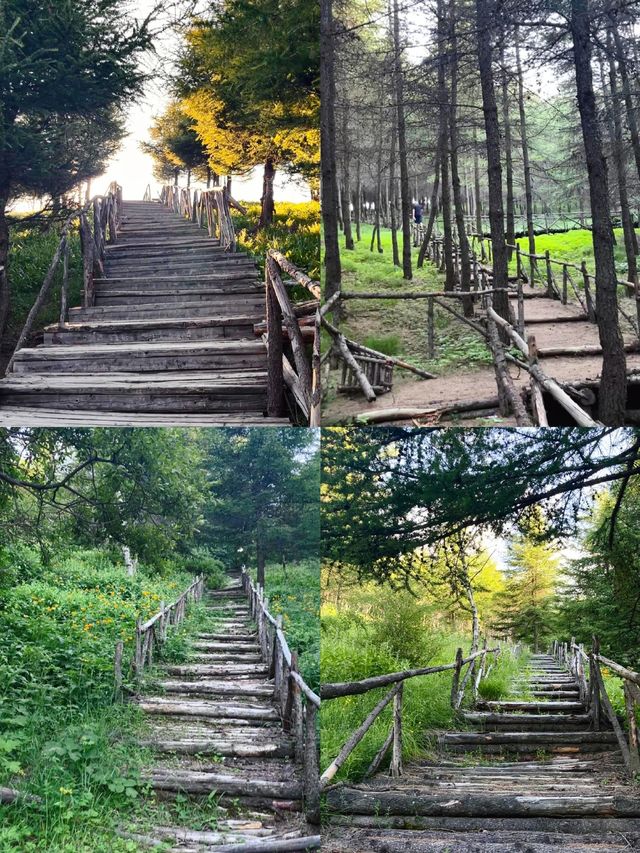 山西小眾景點‖紅涯峽谷別太美了！！