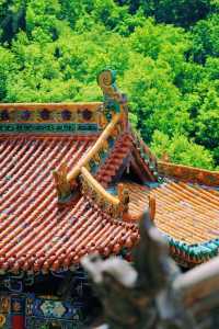暑期來山西長治仙堂山撸小獅子