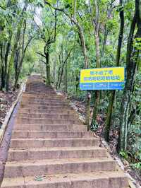 <《桂林風光：探索中國最美麗的山水畫卷》