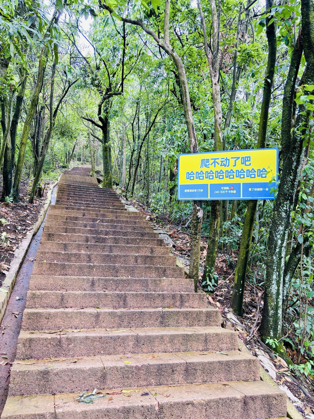 <《桂林風光：探索中國最美麗的山水畫卷》