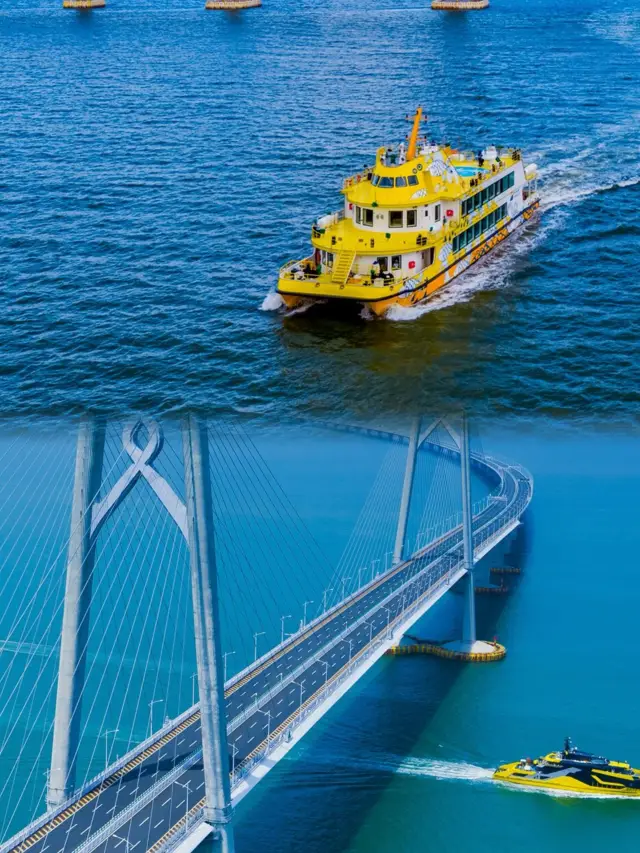 Made in China! The world's longest sea-crossing bridge—the Hong Kong-Zhuhai-Macao Bridge