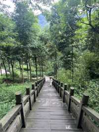 成都仙家重地！見到這隻鶴才算真正去過成都鶴鳴山