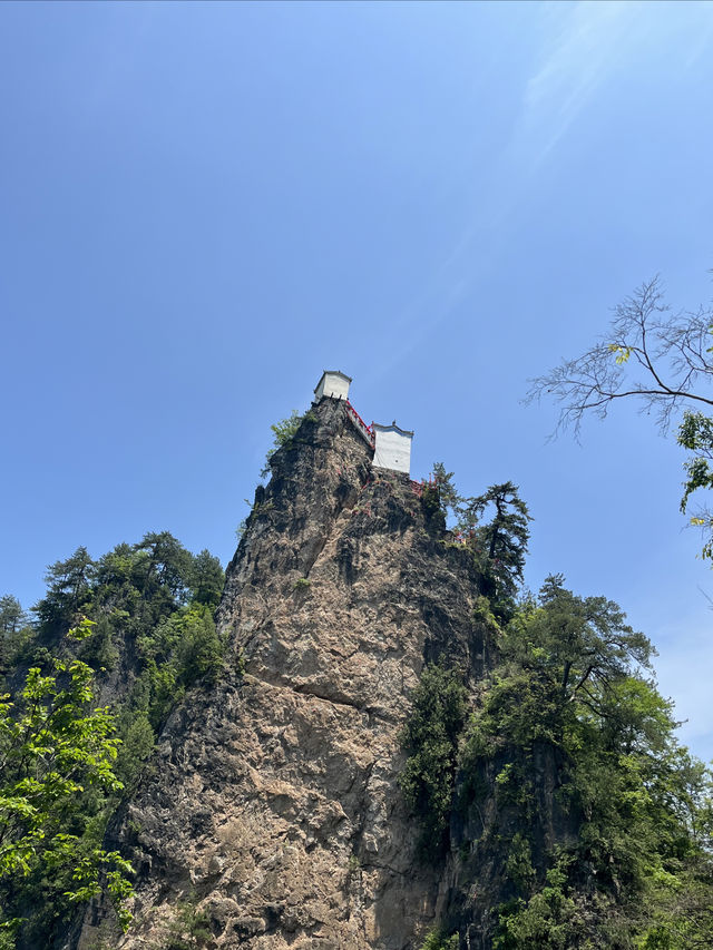 西安周邊遊∣尋夢大秦嶺•問道塔雲山