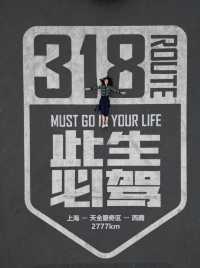 叮！「原來這裡是服務區啊」，此生必駕G318