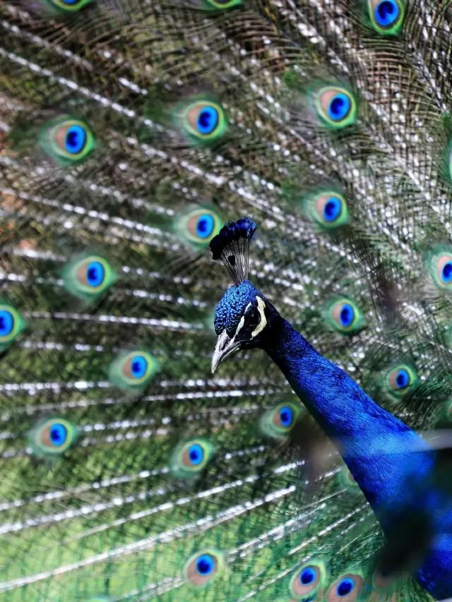 🌟 Kunming's Top Family-Friendly Attractions 🌈👨👩👧👦