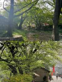 大別山深處藏著一個百年歷史古村落