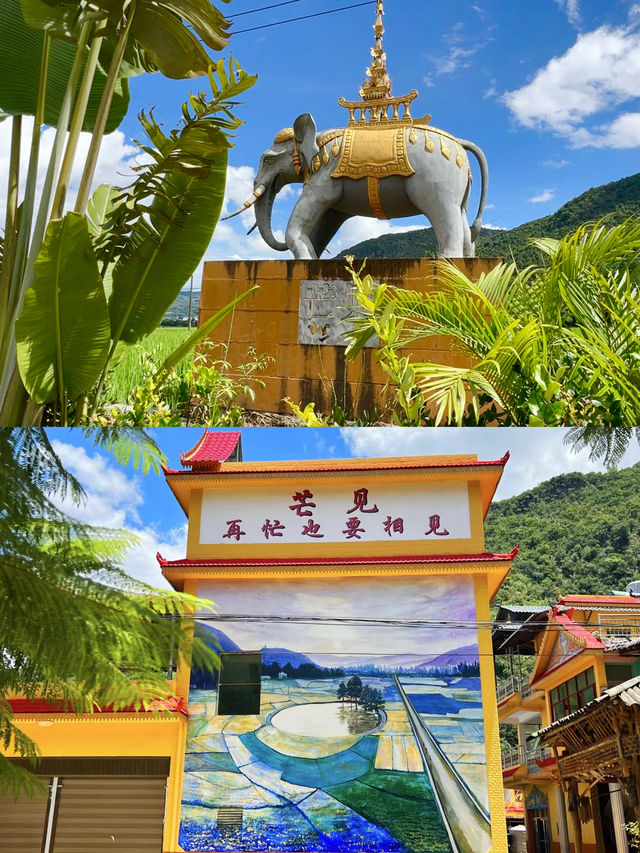 雲南夏日遊，芒見，再忙也要相見