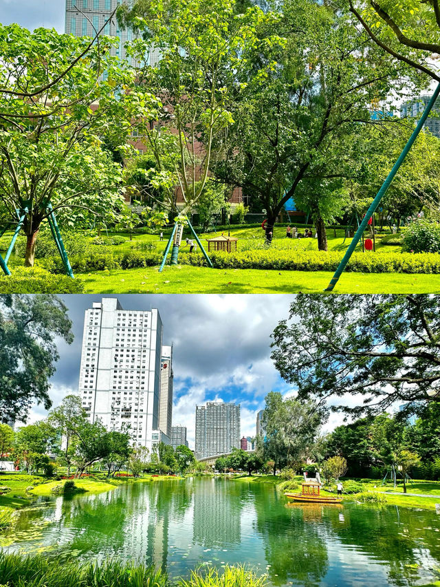 有這樣一個浪漫且獨屬於成都的公園！！摩訶池