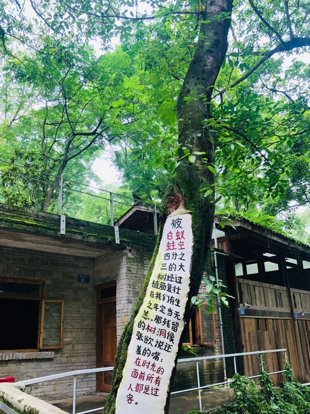 旅遊日記|小眾而美好的金剛碑溫泉老村～