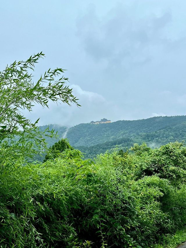 如果可以去旺山一定要雨徒