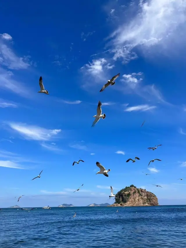 這裡的風景實在泰美啊，徒步看海都不錯