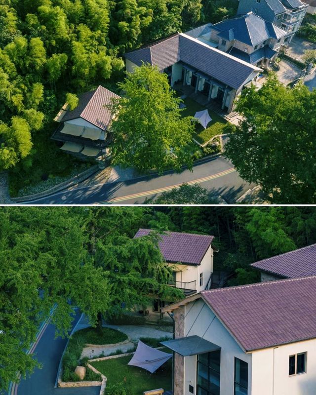 大樂之野·碧塢隱匿於大山深處的侘寂美宿