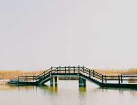 杭州灣濕地公園