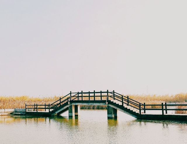 杭州灣濕地公園