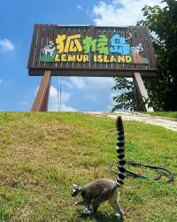 杭州野生動物園親子遊時間安排，建議收藏！