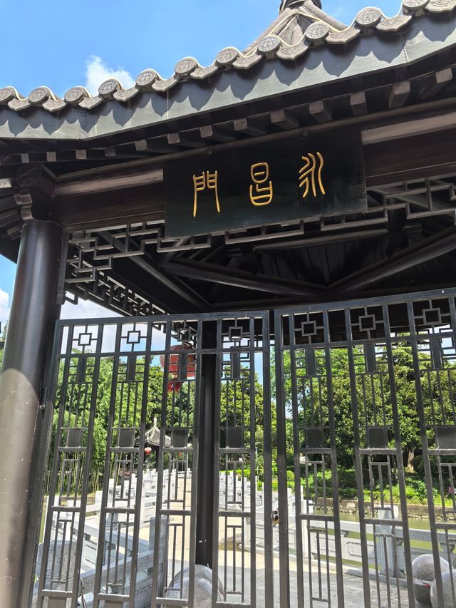 黃橋歸來 不踩雷