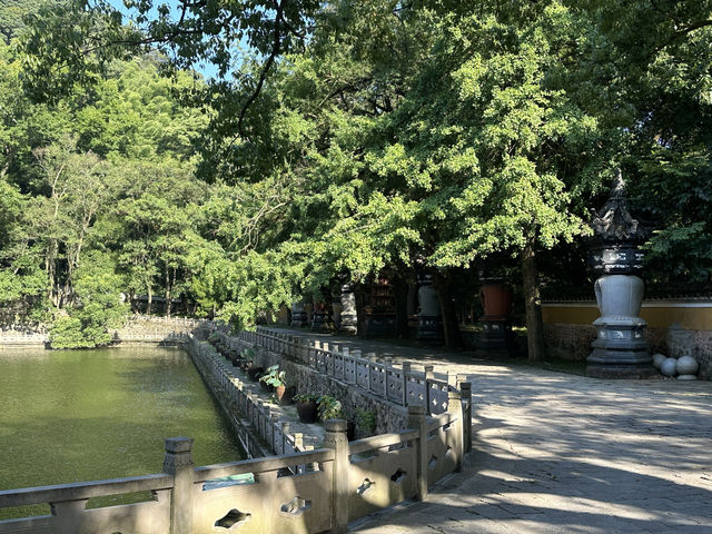 寧波古剎中的頂流——天童寺。