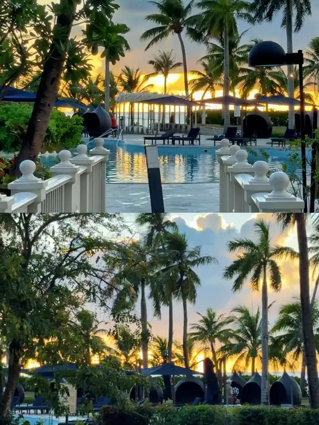 festival(perc)關注Saipan Hote |festival(perc)關注Saipan Hote |。