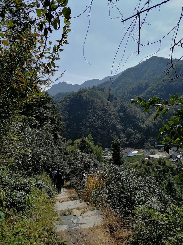 徒步榉根嶺古道丨千年古道丨國慶節避擁遊玩的好地方。