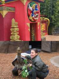 澳大利亞·悉尼  爬行動物公園遊玩攻略。