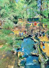 武漢動物園遊玩攻略。