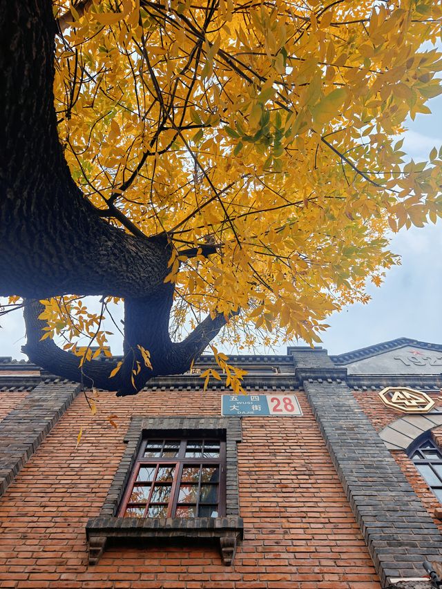 北京秋景!五四大街才是老舍筆下的北平。 北京秋景!五四大街才是老舍筆下的北平。