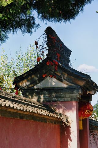 "Berlin Temple Day Tour: Encounter Tranquility and Zen".