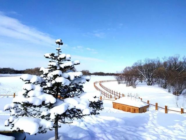 邂逅黑瞎子島 · 開啟夢幻冬之旅。