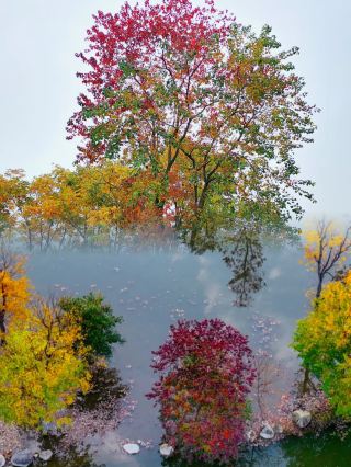 別再擠婺源了！這個鮮為人知的秋色就在這裡。
