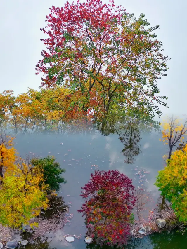 別再擠婺源了！這個鮮為人知的秋色就在這裡。