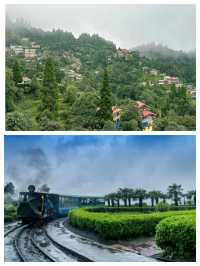 印度大吉嶺喜馬拉雅山脈隱世天堂。
