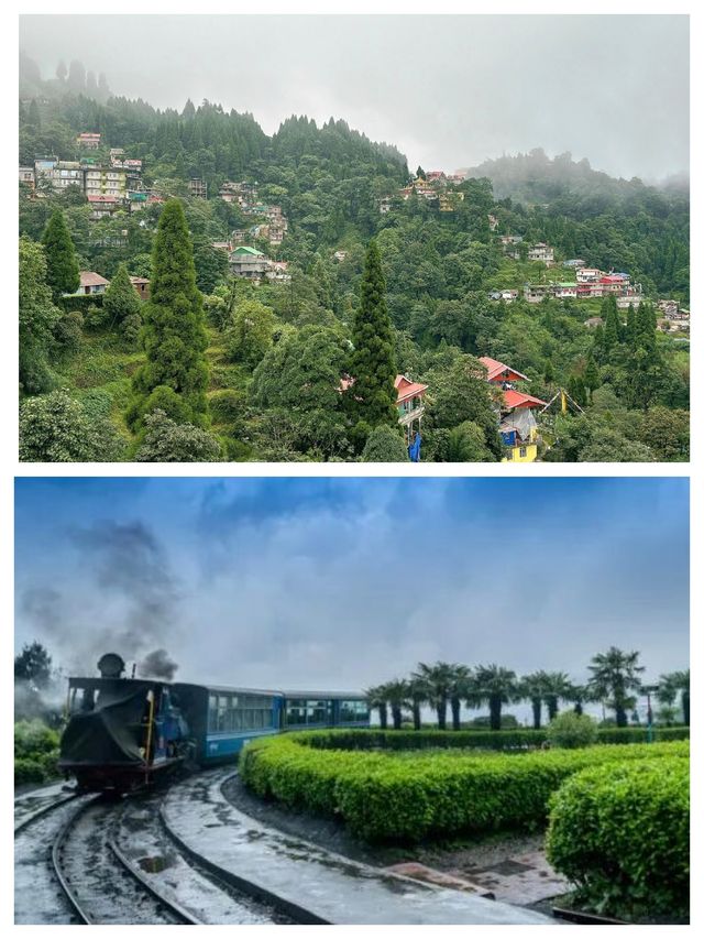 印度大吉嶺喜馬拉雅山脈隱世天堂。