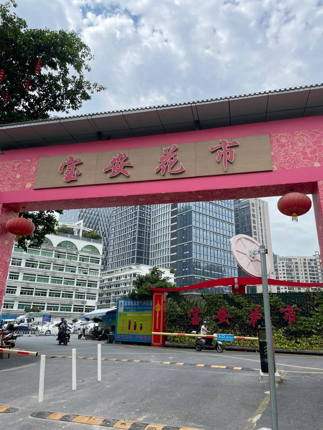 坪洲花市‖逛完花市來特產店買點。