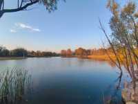 遊覽官廳水庫濕地公園。