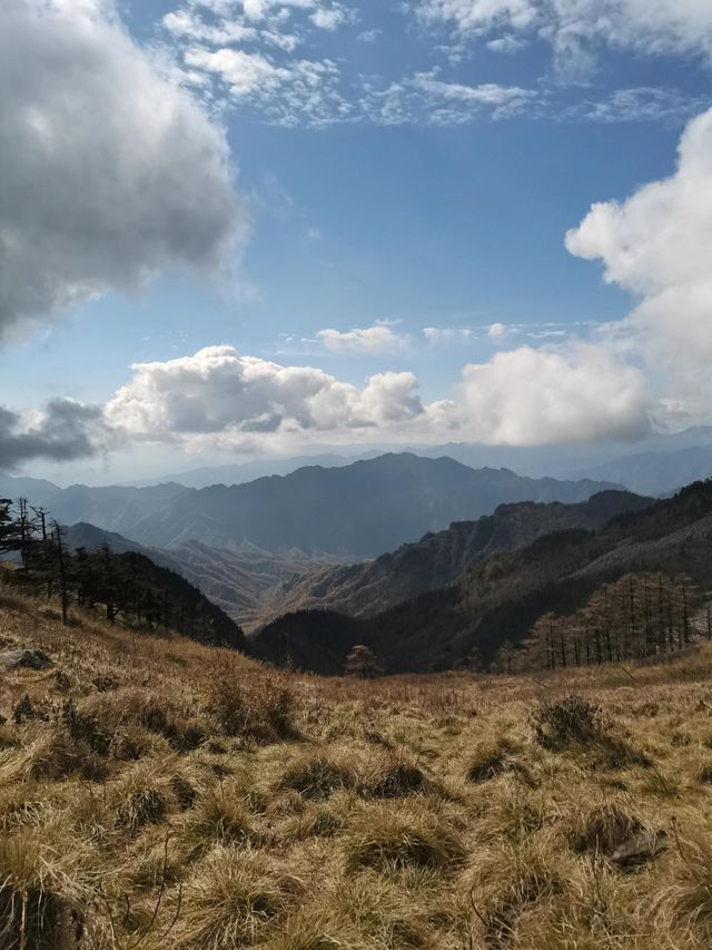 西安朱雀國家森林公園|我在秦嶺之巔等你。 西安朱雀國家森林公園|我在秦嶺之巔等你。