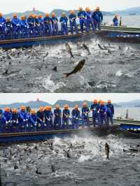 千島湖兩天一晚旅遊攻略。