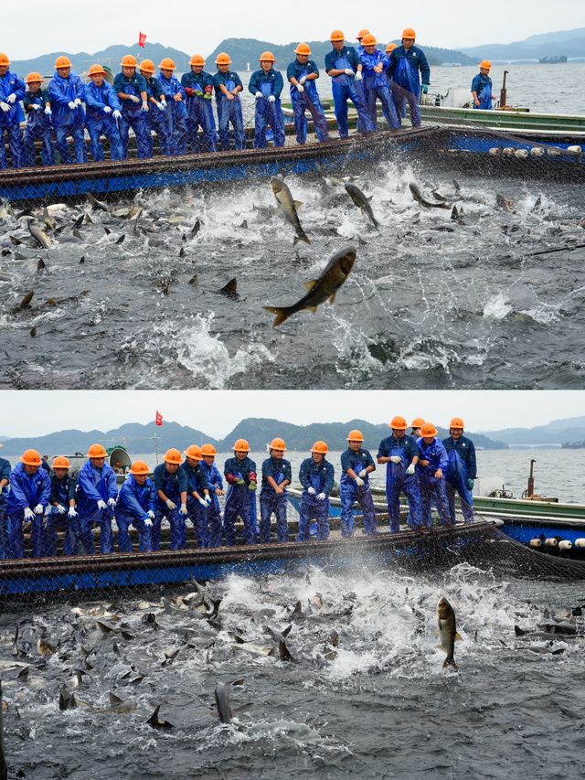 千島湖兩天一晚旅遊攻略。